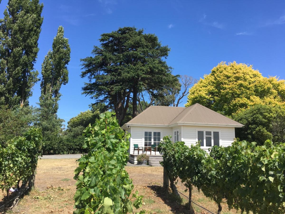 Tuki Vineyard Cottage Хавлок-Норт Экстерьер фото